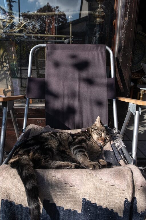 How to Plan a Restful Day Off at Home for Ultimate Relaxation